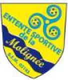 Logo du club de Football, E.S. DE LA MOLIGNEE