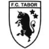 Logo du club de Football, F.C. TABOR HEVERLEE VZW