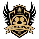 Logo du club de Football, FC FUTURE WINTERSLAG