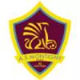 Logo du club de Football, AS MONTIGNY