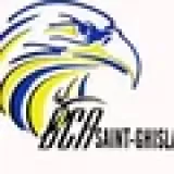 Logo du club de Volleyball, DCA St Ghislain