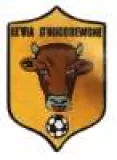 Logo du club de Football, HUCCORGNE SPORTS