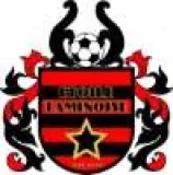 Logo du club de Football, ETOILE TAMINOISE