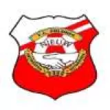 Logo du club de Football, F.C. NIEUW POLONIA