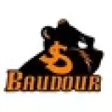 Logo du club de Volleyball, Baudour J.S.