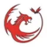 Logo du club de Volleyball, The Dragonflies V.C Profondeville