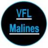 Logo du club de Football, VFL MALINES