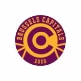 Logo du club de Hockey sur Glace, Brussels Capitals