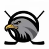 Logo du club de Hockey sur Roller, Flying Eagles