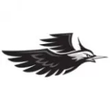 Logo du club de Hockey sur Roller, Lapwings