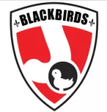 Logo du club de Hockey sur Gazon, BLACKBIRDS