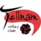 Logo du club de Volleyball, Tellinam V.C.