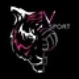 Logo du club de Volleyball, Vsport