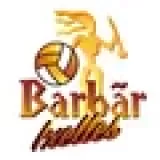 Logo du club de Volleyball, BARBAR IXELLES VOLLEY