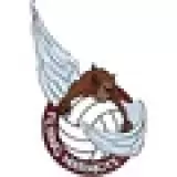Logo du club de Volleyball, Flying Marmots