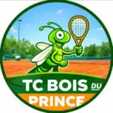 Logo du club de Tennis, Tennis Club Bois du Prince