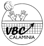 Logo du club de Volleyball, V.B.C. Calaminia II
