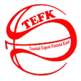 Logo du club de Basketball, Tournai E.F. Kain