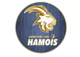 Logo du club de Basketball, BC Hamois