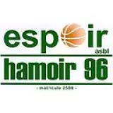 Logo du club de Basketball, Espoir Hamoir 96 B.C
