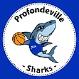 Logo du club de Basketball, Profondeville Sharks