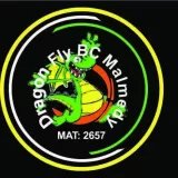 Logo du club de Basketball, Dragon Fly BC Malmédy