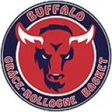 Logo du club de Basketball, Buffalo Grâce Hollogne Basket