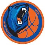 Logo du club de Basketball, New Conti 21