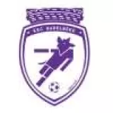 Logo du club de Football, RACING CLUB HARELBEKE