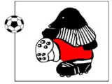 Logo du club de Football, K.V.V. RAUW SPORT MOL